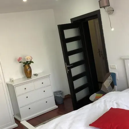 Pensiunea Pont-euxin Guest house *