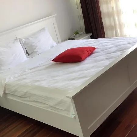 Pensiunea Pont-euxin 招待所