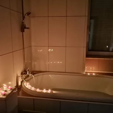 Gæstehus Pensiunea Pont-euxin 3*