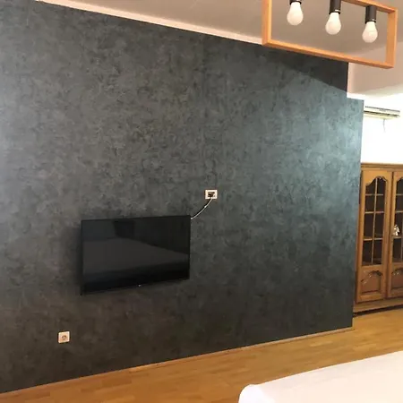 Pensiunea Pont-euxin Guest house *