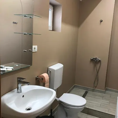 Pensiunea Pont-euxin 3* 康斯坦察