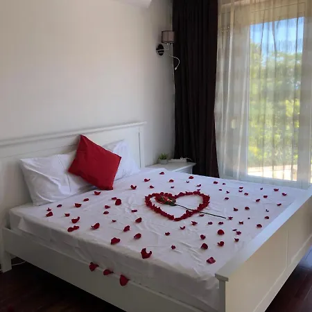 Guest house Pensiunea Pont-euxin Constanta