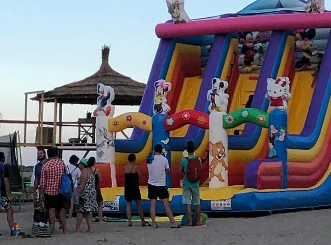 Guest house Pensiunea Pont-euxin