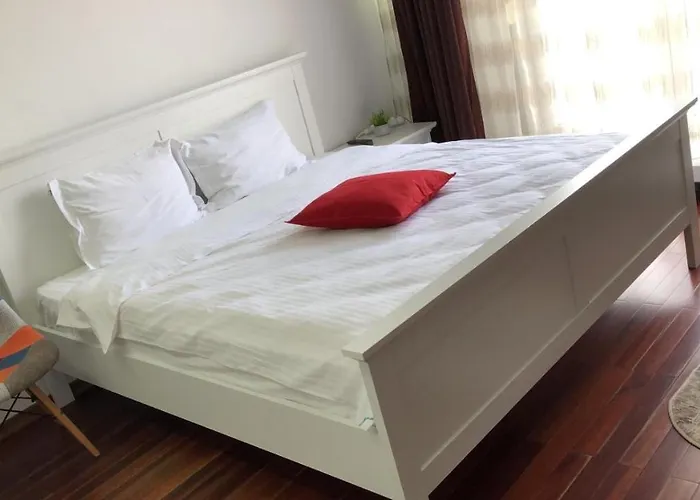 Pensiunea Pont-euxin Guest house